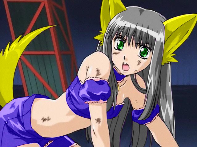 wallpaper_donated_mmp03.jpg
